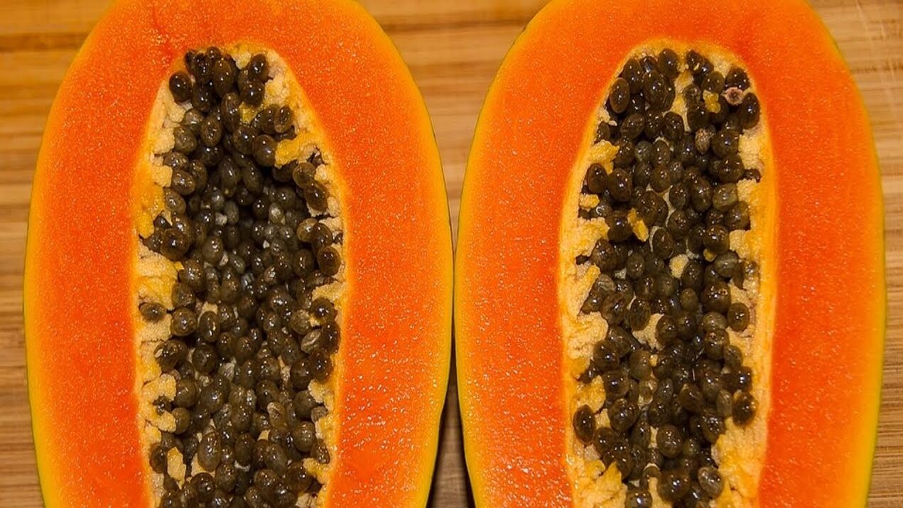 semi di papaya per fare i vermi