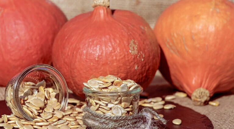 Semi di zucca dai parassiti
