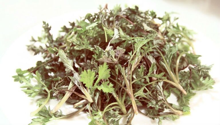 Wormwood dai parassiti